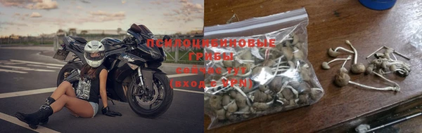 ПСИЛОЦИБИНОВЫЕ ГРИБЫ Богородицк