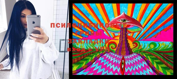 крисы Богородск