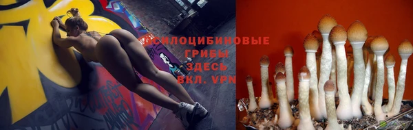 герыч Корсаков