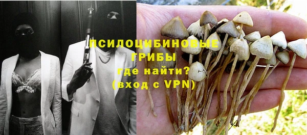 мяу мяу мука Братск