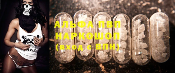 тгк Коряжма