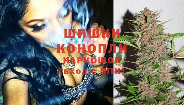 тгк Коряжма