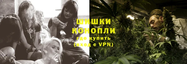 крисы Богородск