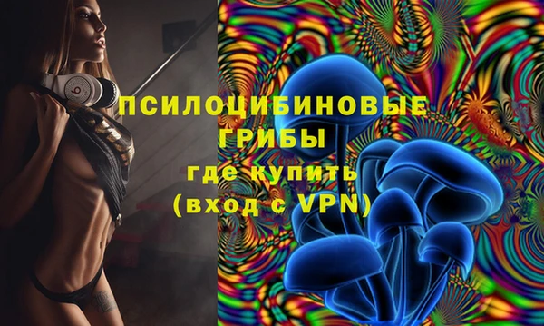 тгк Коряжма