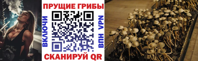 ОМГ ОМГ ONION  Комсомольск-на-Амуре  Псилоцибиновые грибы GOLDEN TEACHER  хочу  