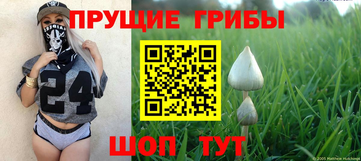 Галлюциногенные грибы GOLDEN TEACHER Комсомольск-на-Амуре