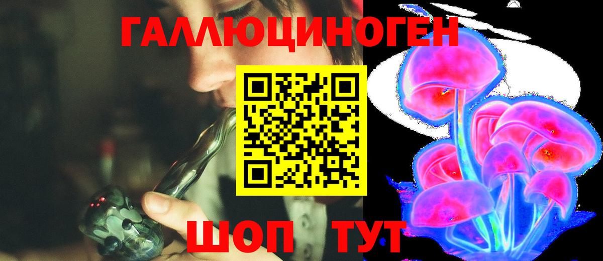 Комсомольск-на-Амуре  Галлюциногенные грибы Psilocybine cubensis  Вход с VPN  Псилоцибиновые грибы MAGIC MUSHROOMS 